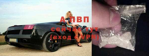 гашик Алексеевка