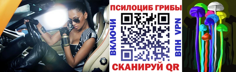 сколько стоит Снежногорск Галлюциногенные грибы GOLDEN TEACHER